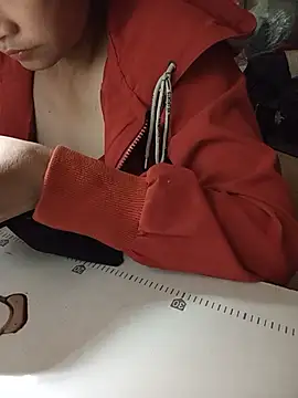 nusile 网络视讯表演