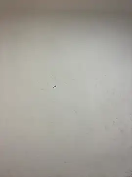 -OvO- Chat XXX live