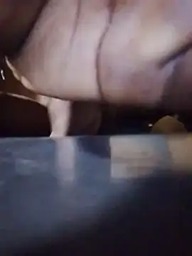 הופעת וובקאם של WoodenCraft4