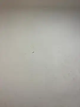 -OvO-n Live XXX chat