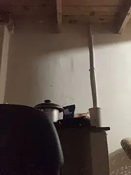Art69xxx Webcam Show
