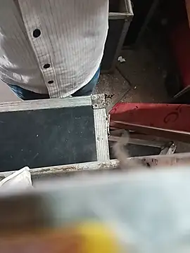 rak260 XXX чат на живо