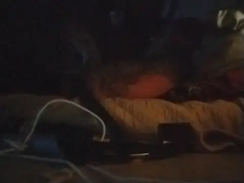 Wildgrace74's Webcam Show