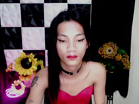 Živý XXX chat XwildCUcumberX
