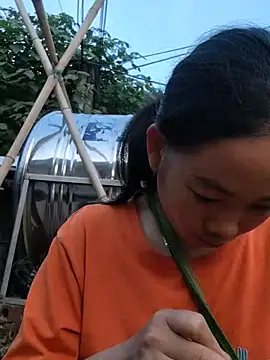 Willow-ww Obrolan Langsung XXX