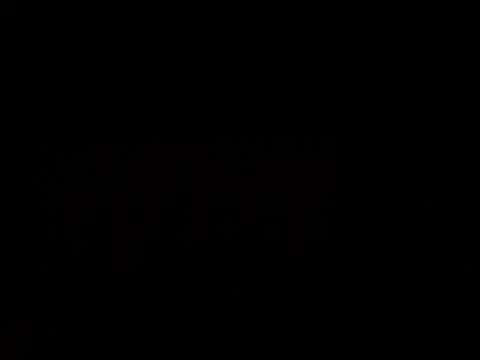 smokinginkのウェブカメラショー