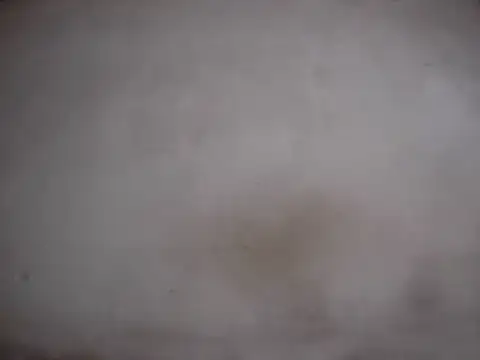 Chatroom XXX en direct de AlbertBigCock