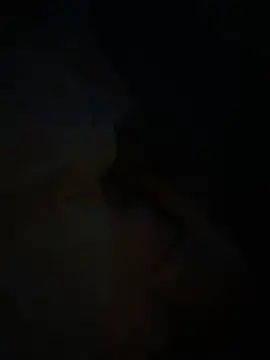 Busdownsamuels webkamerás műsora