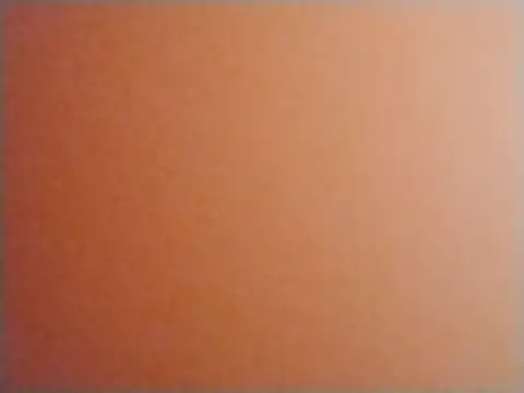 DevinToore Obrolan Langsung XXX