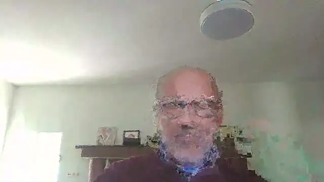 llopaco Webcam-Show