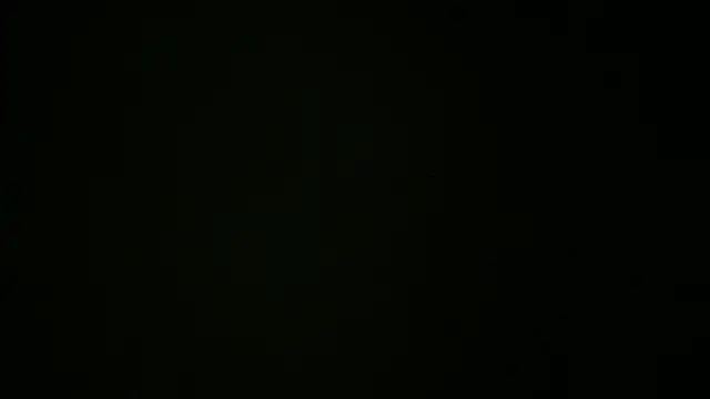 Show webcam de LBaronne