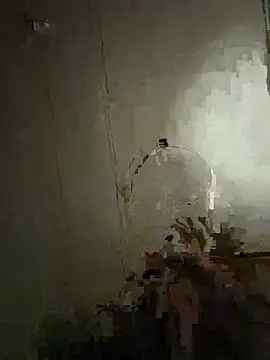Show Webcam de Enjoyedmine