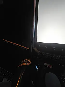 SonicStrip11 Chat XXX live