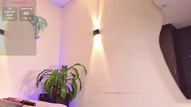 Meetmehere – Live XXX-chat