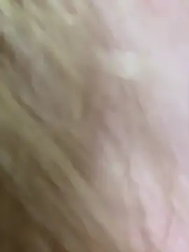 SiaLater লাইভ XXX চ্যাট