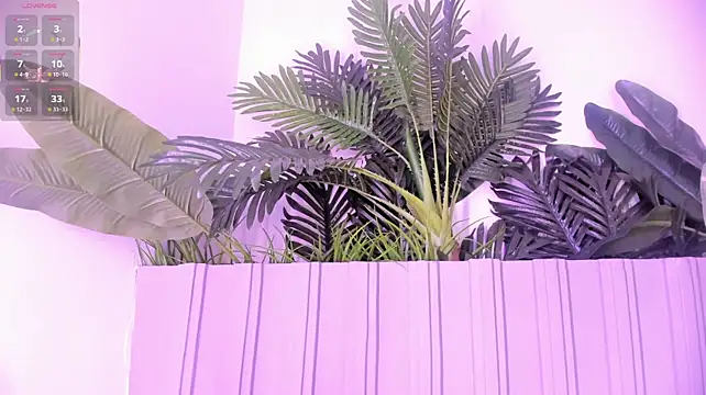 stephanymonroe Adlı Modelin Canlı XXX Sohbeti