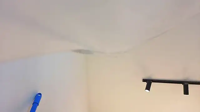 Vyolet_Fire 라이브 XXX 채팅