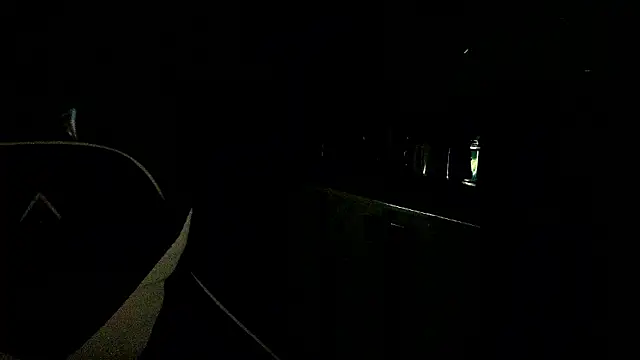 RyanStorm_ 现场XXX聊天