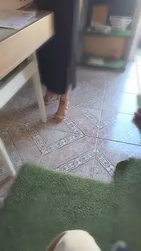 shinispatitas লাইভ XXX চ্যাট