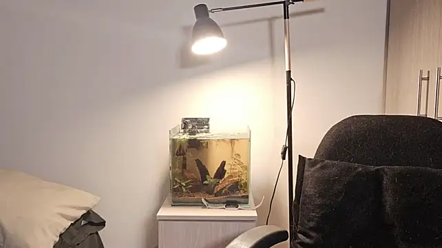 Mia_belmont's Live XXX Chat