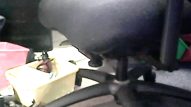 Show webcam de Valdeznuts