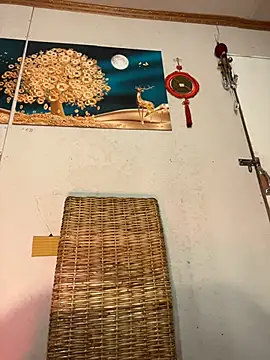 Eisheth_Zenunim_: διαδικτυακό σόου στην κάμερα