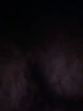 TeddyBearXXn Live XXX chat