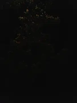 Онлайн чат XXX DaddyAndSplashQueen