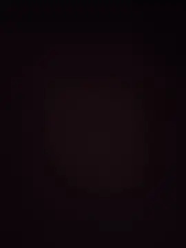 Baumhackel Webcam Show