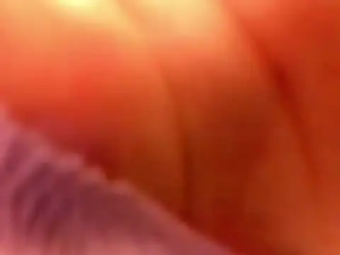 Živý XXX chat CaeliThalyana