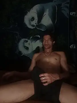 Webkamerová show Novafully