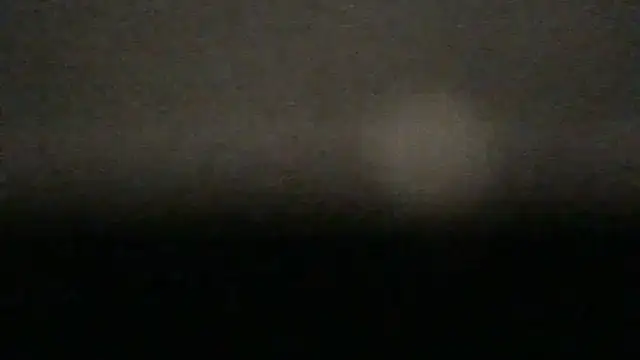 dracogotti Live XXX-chat