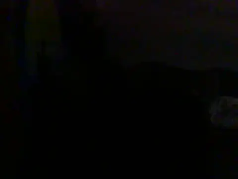 Chat +18 de Dejanaceking ao vivo