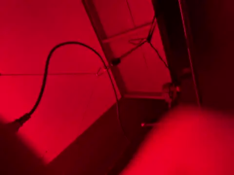GypsyNova69 Show in webcam