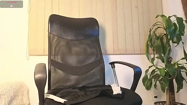 MR_EITHAN's Live Chat Room
