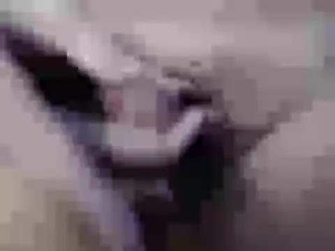 Czat XXX na żywo – Abi_stacey