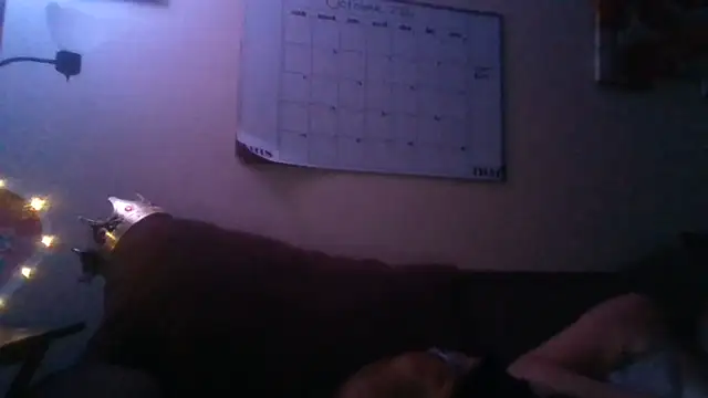 XXX chat uživo modela BossyBae26