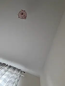 Show webcam de MPlays4u