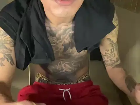 Ceesteve_hot 网络视讯表演