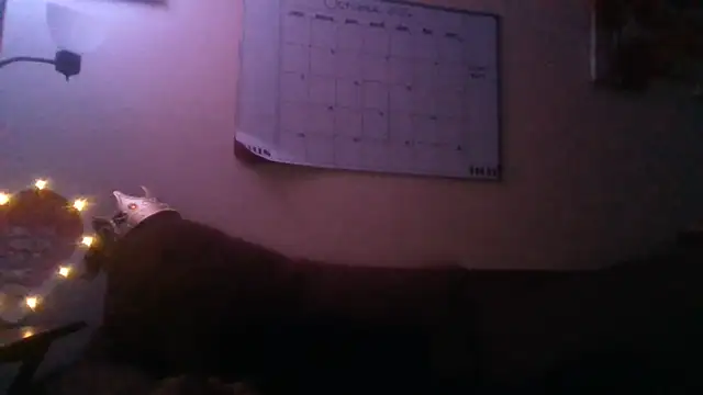 BossyBae26 – Naživo XXX chat