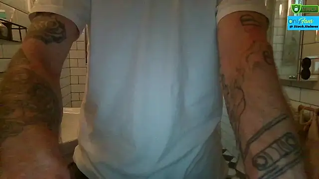 Stock-Holmes webcam show
