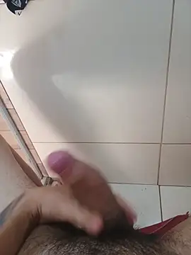 v4lmas09 webcam show