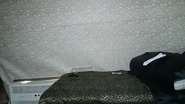 DxnkeyDxng XXX чат на живо