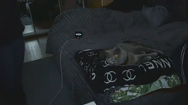 Medjik_lool – Naživo XXX chat