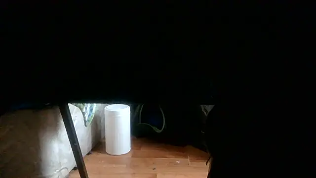 NuttyProfesir webkamerás műsora