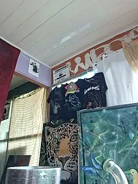 Toycockhot 网络视讯表演