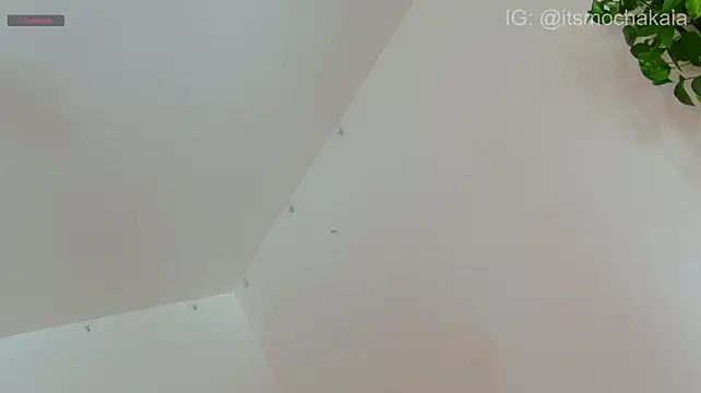 Živý XXX chat mochakaia