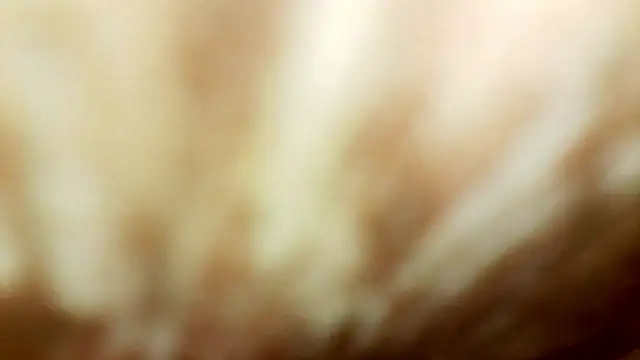 Chat +18 de karol_stom ao vivo