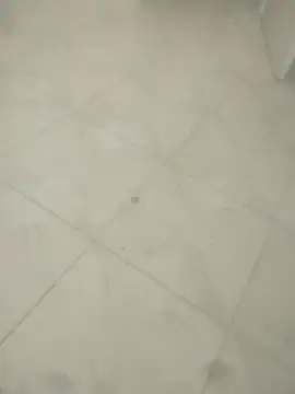 Chat XXX en directo de locurasdetodo