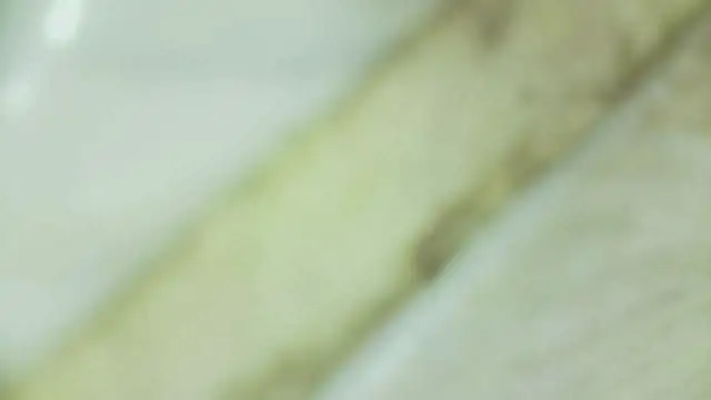 Czat XXX na żywo – karol_stom